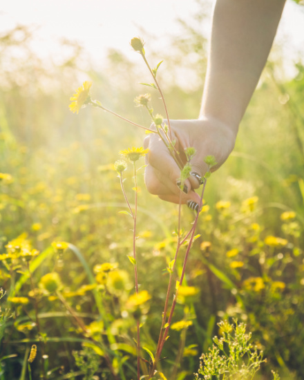 社会：共赢共享